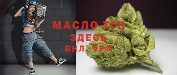 индика Беломорск
