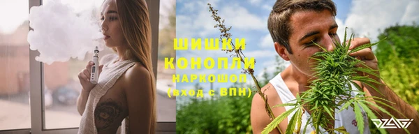 индика Беломорск