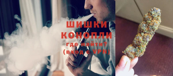 индика Беломорск
