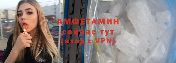 индика Беломорск