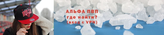 индика Беломорск