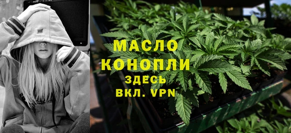 индика Беломорск