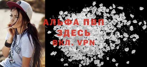 индика Беломорск