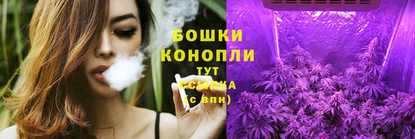 индика Беломорск