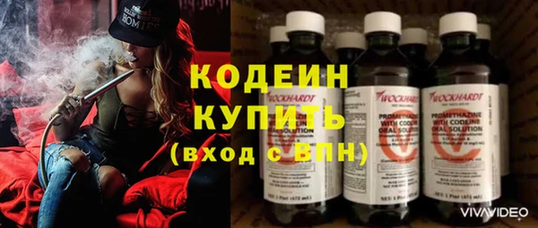 индика Беломорск