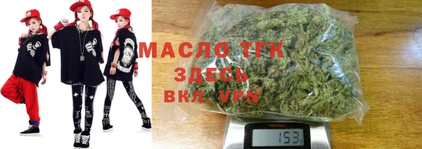 индика Беломорск