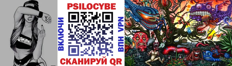 наркошоп  даркнет телеграм  Псилоцибиновые грибы мицелий  Вязники 