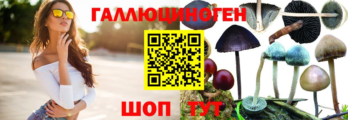 Вязники  Галлюциногенные грибы ЛСД  Вход с VPN 